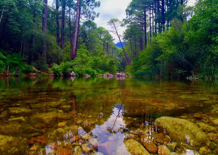 Grande Villa, Corse Du Sud, Domaine Prive De Cala Rossa Vila Porto-Vecchio (Corsica)