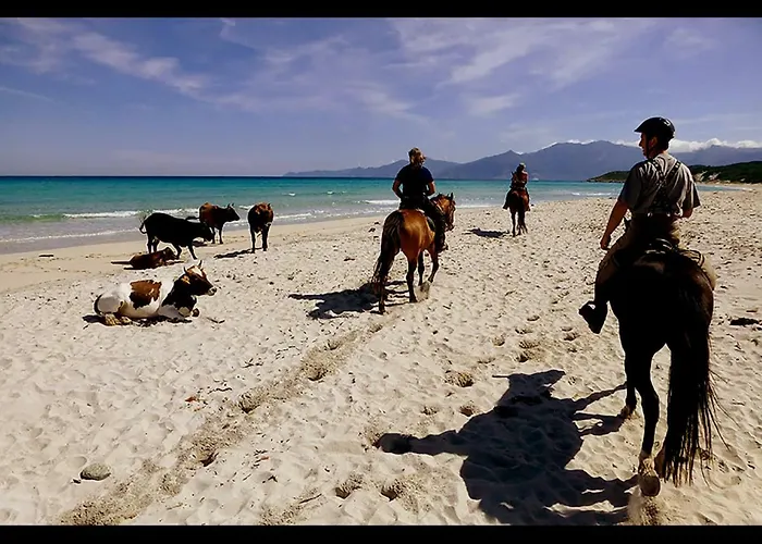 Grande Villa, Corse Du Sud, Domaine Prive De Cala Rossa